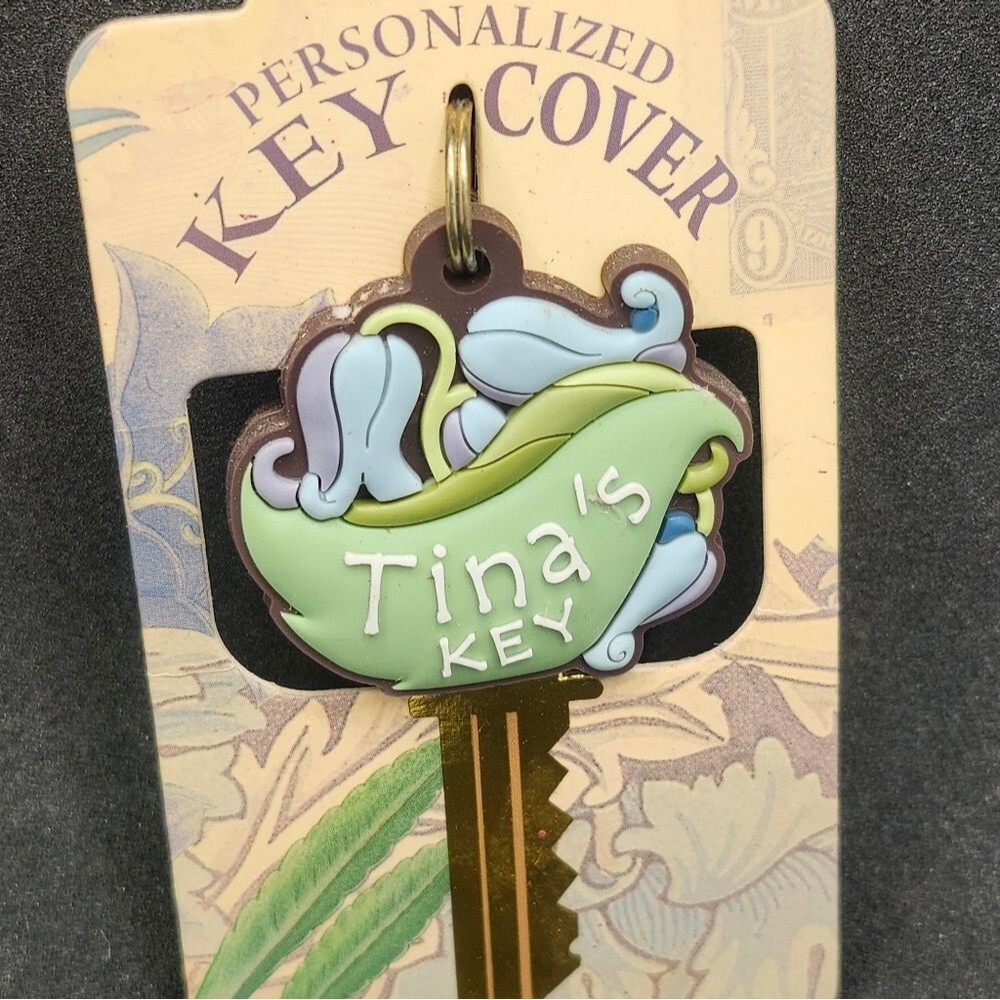 Tina  Key Cover